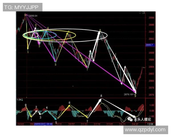 上海排球队边路渗透战术深度解析与实战应用探讨 上海排球队边路渗透战术深度解析与实战应用探讨