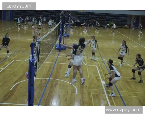 排球盛宴：深入广州排球队的团队协作与默契之道